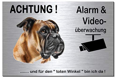 Boxer-Alarm-Video-Überwachung-Hund-Schild-Hundeschild-Aluminium Edelstahloptik-Hunde-Tierschild-Warnschild-Hinweisschild 133-3 (133-3 silber 300 x 200 x 3 mm mit Löcher) von Desi-Schilder