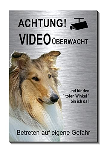 Collie-Video-Überwachung-Hund-15 x 10 cm-Schild-Hundeschild-Aluminium Edelstahloptik-Hunde-Tierschild-Warnschild-Hinweisschild (1905-97 mit Löcher) von Desi-Schilder