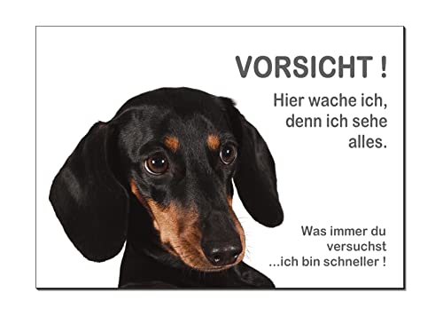 Desi-Schilder Dackel-Hier wache ich-Schild-300 x 200 x 3 mm Aluminium Verbund-Hund-Tierschild-Warnschild-Hinweisschild (1451-122=30 x 20 cm m. 4 Löcher) von Desi-Schilder