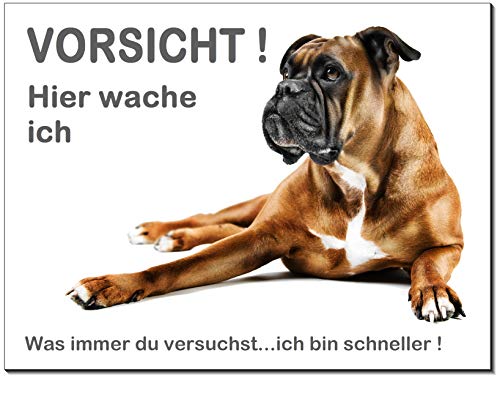 Desi-Schilder Boxer-Schild-Hund-Aluminium-Schild-3 Größen-Türschild-Warnschild-Hinweisschild-Hundeschild-35 (1451-17 - 300 x 200 x 2 mm mit Klebepats) von Desi-Schilder