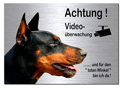 Dobermann-Videoüberwachung-Hund-Schild-Hundeschild-30 x 20 cm-Aluminium Edelstahloptik-Hunde-Tierschild-Warnschild-Hinweisschild (133-19 - 30 x 20 cm mit Löcher) von Desi-Schilder