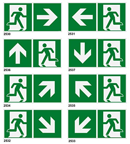 Fluchtweg-Rettungsweg-Schilder-30 x 15 cm-Schild-Kunststoff- im dunkeln nachleuchtend-Warnschild-Hinweisschild-Türschild (Nr. 2531-297 x 148 mm) von Desi-Schilder