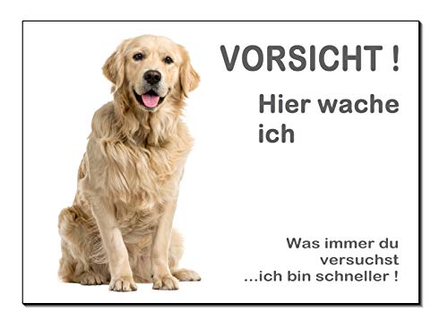 Golden Retriever-Hier wache ich- Hund-Schild-Hundeschild-300 x 200 x 3 mm-Aluminium-Tierschild-Warnschild-Hinweisschild (1450-114 =200 x 150 mm mit Löcher) von Desi-Schilder