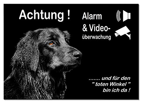 Hovawart-Alarm-Video-Überwachung-Hund-3 Größen-2-3 mm Materialstärke-Schild-Hundeschild-Aluminium-Hunde-Tierschild-Warnschild-Hinweisschild (1450-101 -20 x 15 cm mit Klebepads) von Desi-Schilder