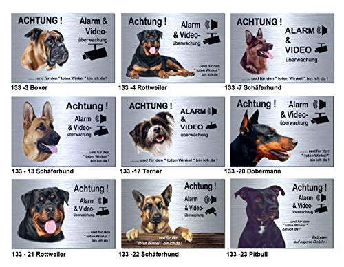 Hunde-Alarm + Video-Überwachung-Hund-Schild-Hundeschild-300 x 200 x 3 mm-Aluminium Edelstahloptik-Tierschild-Warnschild-Hinweisschild (133-13 Schäferhund mit Löcher) von Desi-Schilder