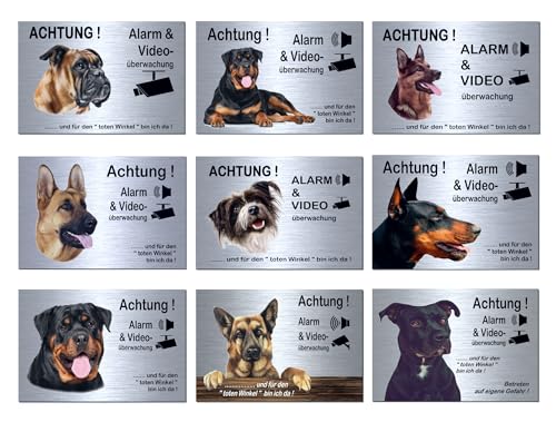 Hunde-Alarm + Video-Überwachung-Hund-Schild-Hundeschild-300 x 200 x 3 mm-Aluminium Edelstahloptik-Tierschild-Warnschild-Hinweisschild (133-23 Pitbull mit Löcher) von Desi-Schilder