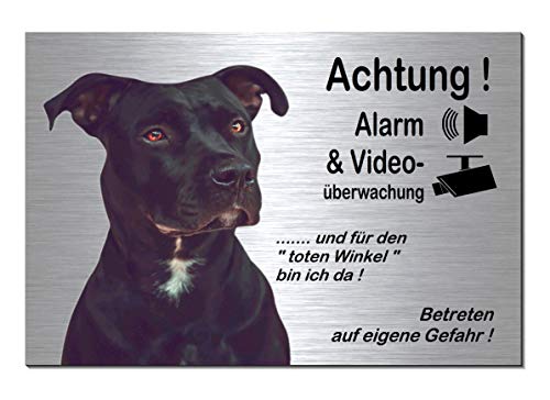 Pitbull-Alarm + Videoüberwachung-Hund-Schild-Hundeschild-300 x 200 x 3 mm-Aluminium Edelstahloptik-Hunde-Tierschild-Warnschild-Hinweisschild (133-23 Alu.-silber 30 x 20 cm mit Löcher) von Desi-Schilder