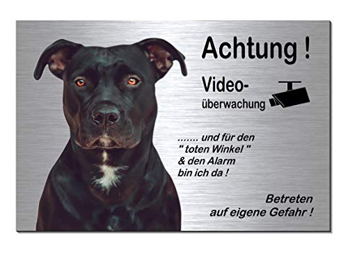 Pitbull-Videoüberwachung-Hund-Schild-Hundeschild-300 x 200 x 3 mm-Aluminium Edelstahloptik-Hunde-Tierschild-Warnschild-Hinweisschild (133-24 Alu.-silber 30 x 20 cm mit Löcher) von Desi-Schilder