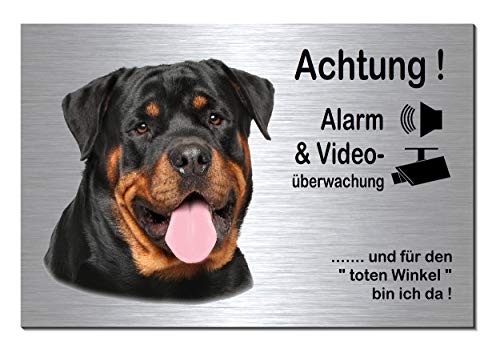 Rottweiler-Alarm + Videoüberwachung-Hund-Schild-Hundeschild-300 x 200 x 3 mm-Aluminium Edelstahloptik-Hunde-Tierschild-Warnschild-Hinweisschild (133-21 mit Löcher) von Desi-Schilder