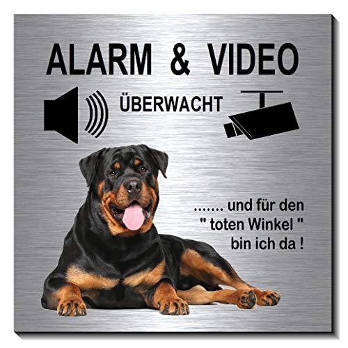 Rottweiler-Alarm-Video-Überwachung-Hund-10 x 10 cm-Schild-Hundeschild-Alu. Edelstahloptik-Hunde-Tierschild-Warnschild-Hinweisschild (1910-67 - mit Klebepads) von Desi-Schilder