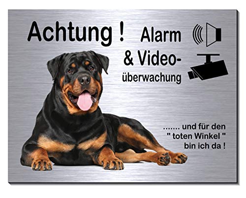 Rottweiler-Alarm-Video-Überwachung-Hund-20 x 15 cm-Schild-Hundeschild-Aluminium Edelstahloptik-Hunde-Tierschild-Warnschild-Hinweisschild (249-10-20 x 15 cm mit Eigenbild) von Desi-Schilder