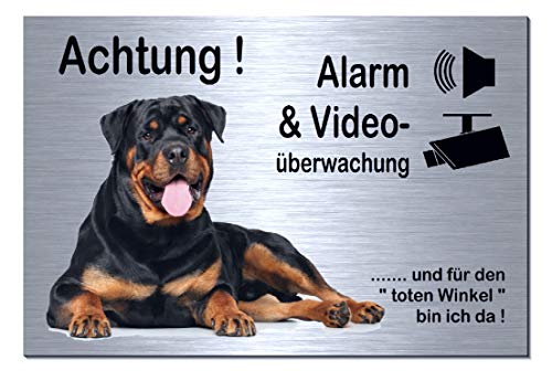 Rottweiler-Alarm-Video-Überwachung-Hund-30 x 20 cm-Schild-Hundeschild-Aluminium Edelstahloptik-Hunde-Tierschild-Warnschild-Hinweisschild 133-4 (133-4 -300 x 200 x 3 mm mit Klebepads) von Desi-Schilder