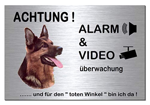 Schäferhund-Alarm-Video-Überwachung-Hund-30 x 20 cm-Schild-Hundeschild-Aluminium Edelstahloptik-Hunde-Tierschild-Warnschild-Hinweisschild (133-7 mit Klebepads) von Desi-Schilder