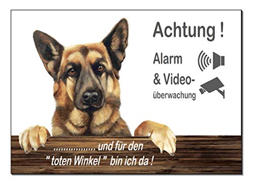Schäferhund-Alarm-Video-Überwachung-Hund 300 x 200 x 3 mm Materialstärke-Schild-Hundeschild-Aluminium-Hunde-Tierschild-Warnschild-Hinweisschild (1451-105 -mit Löcher) von Desi-Schilder