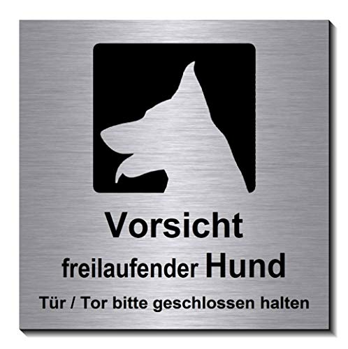 Vorsicht-Freilaufender-Hund-Schild 100 x 100 x 3 mm-Aluminium Edelstahloptik silber mattgebürstet Hinweisschild-1910-90 von Desi-Schilder