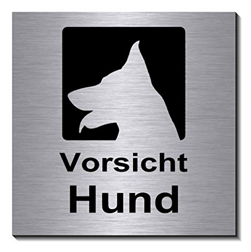 Vorsicht-Hund-Schild 100 x 100 x 3 mm-Aluminium Edelstahloptik silber mattgebürstet Hinweisschild-1910-89 von Desi-Schilder