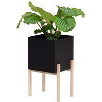Design House Stockholm - Botanic Pedestal Pot Pflanztopf Anthrazit von Design House Stockholm