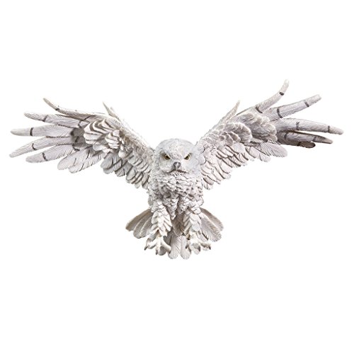 Design Toscano Mystical Spirit Owl ‚Mystische Geister-Eule‘, Wandskulptur, Resin, Bunt, 14 x 49.5 x 28 cm von Design Toscano