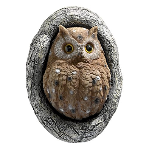 Design Toscano Baumskulptur „Octavius, die Knothole-Eule“, mehrfarbig, 7,5 x 16,5 x 24 cm, QM2734400 Design Toscano Baumskulptur „Octavius, die Knothole-Eule“, mehrfarbig, 7,5 x 16,5 x 24 cm, QM2734400 von Design Toscano