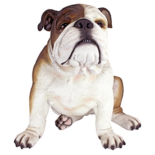 Design Toscano Buster die Bulldogge Britische Gartenstatue, Polyresin, vollfarbe, 40.5x35.5x35.5 cm von Design Toscano