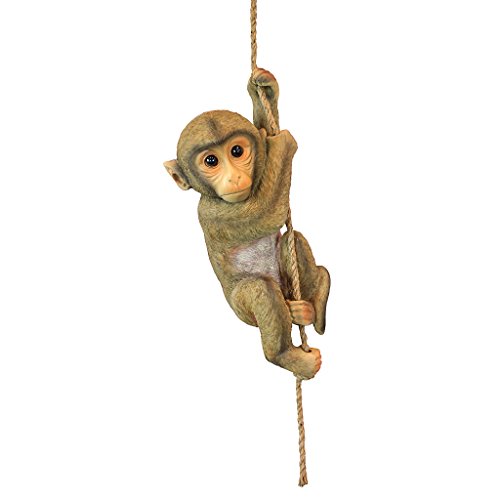 Design Toscano Chico das Baby-Schimpansenäffchen Hängende Tierstatue, Polyresin, Vollfarbe, 40,75 cm von Design Toscano
