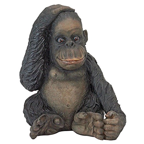 Design Toscano Curly der Schimpanse des Dschungels Lustige Affen-Statue, Harz, Vollfarbe wirklichkeitsgetreu Design Toscano Curly der Schimpanse des Dschungels Lustige Affen-Statue, Harz, Vollfarbe wirklichkeitsgetreu von Design Toscano