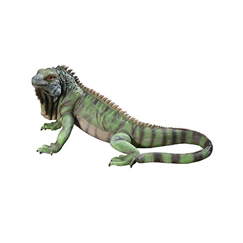 Design Toscano Iggy der Leguan Gartenstatue, Polyresin, Vollfarbe, 24 x 56 x 22 cm von Design Toscano
