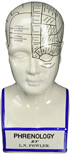 Design Toscano Porzellan Phrenologie Kopffigur, Maße: 14 x 15 x 30.5 cm 2.25 kg von Design Toscano