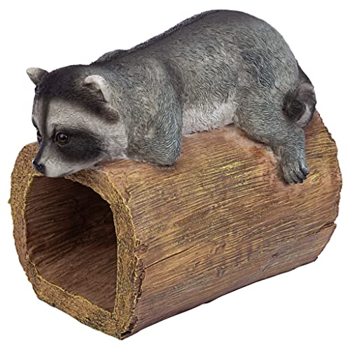 Design Toscano Raider, der Waschbär, Regenrohrauslass Design Toscano Raider, der Waschbär, Regenrohrauslass von Design Toscano