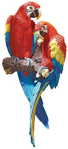 Design Toscano Tropische Arakanga Wandskulptur, 12,5 x 24 x 56 cm Design Toscano Tropische Arakanga Wandskulptur, 12,5 x 24 x 56 cm von Design Toscano