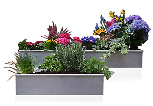 Design Werk Leipzig 1889 Blumenkasten Pflanzkasten Balkonkasten Metall Edelstahl Balkon Garten 100 cm lang Abflusslöcher Rostfrei Made in Germany Design Werk Leipzig 1889 Blumenkasten Pflanzkasten Balkonkasten Metall Edelstahl Balkon Garten 100 cm lang Abflusslöcher Rostfrei Made in Germany von Design Werk Leipzig 1889