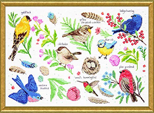 Design Works Crafts Kreuzstich Stickpackung Vogelkunde, Zählmuster von Designworks Ink