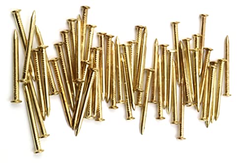 Design61 50x Stahlstifte Stahlnägel Sockelleistenstifte Nagel 3,0 x 30 mm Linsenkopf vermessingt Design61 50x Stahlstifte Stahlnägel Sockelleistenstifte Nagel 3,0 x 30 mm Linsenkopf vermessingt von Design61