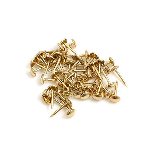 Design61 50x Teppichnägel Teppichnagel Ø 3 x L 50 mm Eisen vermessingt Design61 50x Teppichnägel Teppichnagel Ø 3 x L 50 mm Eisen vermessingt von Design61