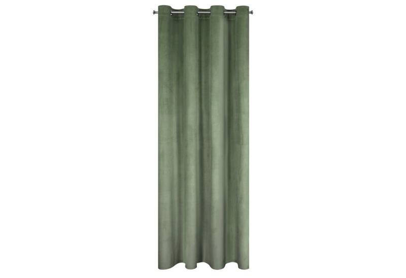 Design91 Vorhang Samtvorhänge Wohnzimmer Schlafzimmer Blickdicht Ösen Velours Velvet, Ösen von Design91