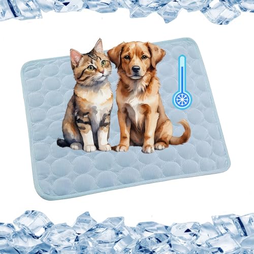 Kühlmatte für den Sommer 2025 Kühlmatte Hund Hundekühlmatte für Hunde & Katzen selbstkühlende Matte für Haustiere Sommer Haustier Eis-Pad abriebfest und bissfest natürliche Kühlung (Hellblau, S) von DesignHeim