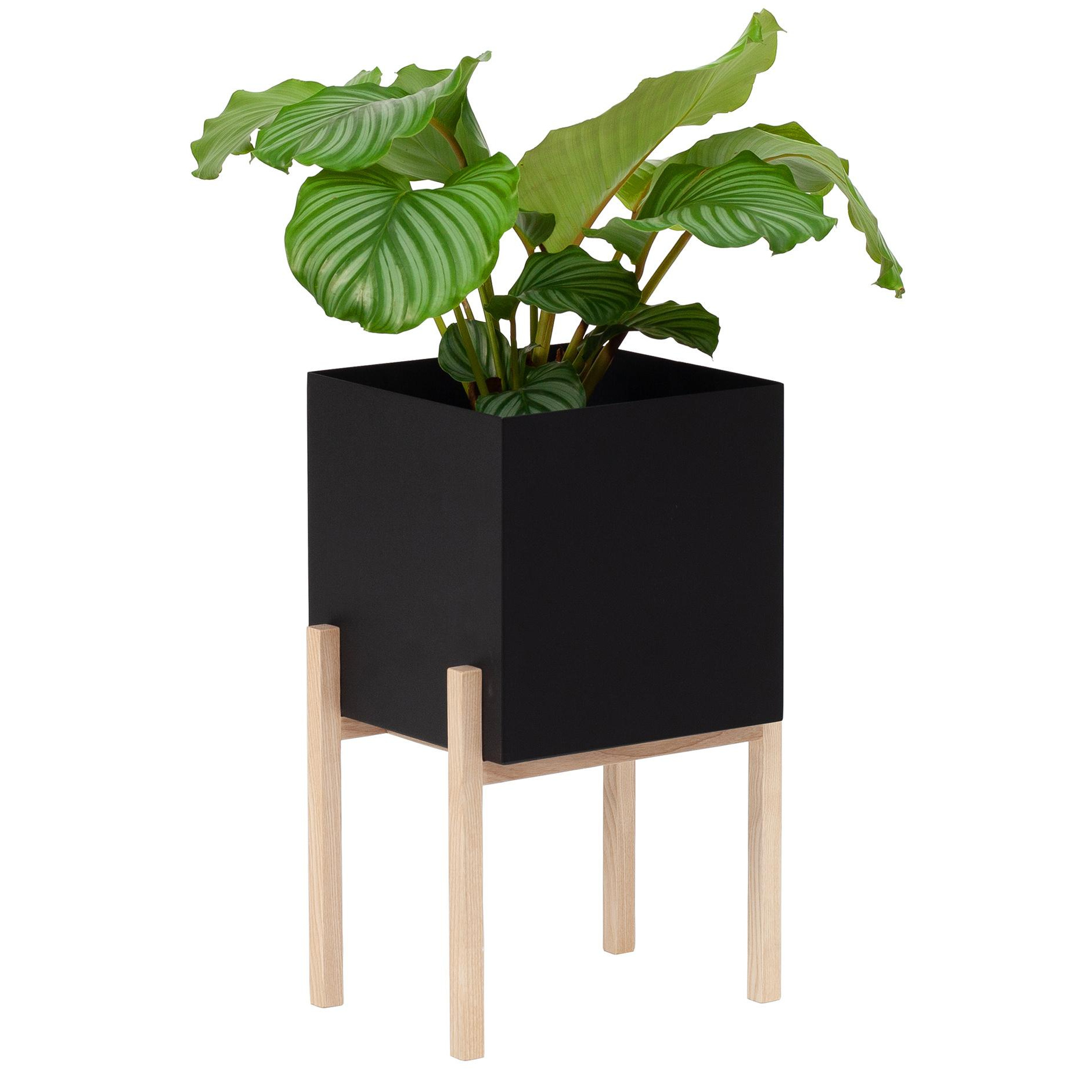Design House Stockholm - Botanic Pedestal Pflanzentopf - schwarz/pulverbeschichtet/LxBxH 35x30x40cm von Design House Stockholm