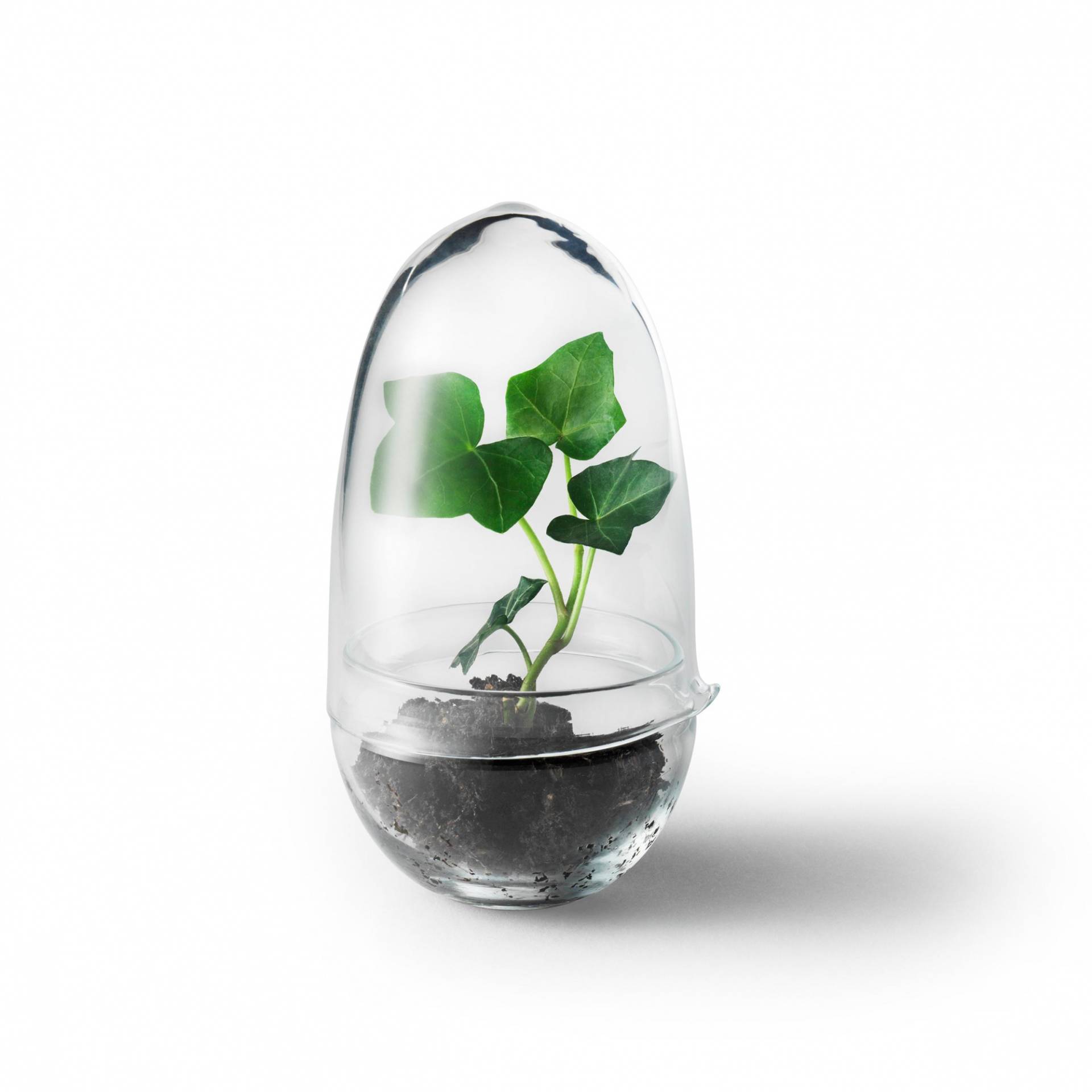 Design House Stockholm - Grow Gewächshaus S - transparent/H x Ø 14x8cm von Design House Stockholm