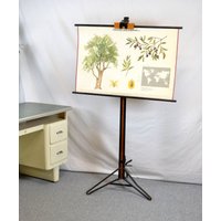 Alte Rollkarte Olivenbaum Oliven Schultafel Image Wandtafel Vintage Design Gemälde Lehrmittel 70Er Baum Olive Tree Öl Olivenöl Wandbild Deko von DesignVintageShopDE