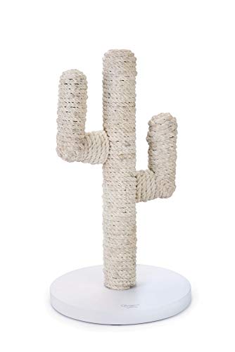 Designed by Lotte Kratzbaum Cactus L: 35 cm B: 35 cm H: 60 cm weiss von Designed by Lotte