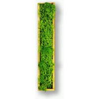 Moosly® Moosbild - I Buchstabe Aus Konserviertes Islandmoos Mit Rahmen Kunst Wohnzimmer Deko Wand Pflanzen WandTattoo von DesignmanufakturBer