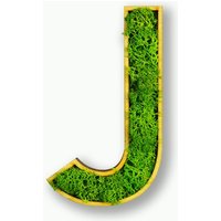Moosly® Moosbild - J Buchstabe Aus Konserviertes Islandmoos Mit Rahmen Kunst Wohnzimmer Deko Wand Pflanzen WandTattoo von DesignmanufakturBer
