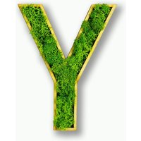 Moosly® Moosbild - Y Buchstabe Aus Konserviertes Islandmoos Mit Rahmen Kunst Wohnzimmer Deko Wand Pflanzen WandTattoo von DesignmanufakturBer