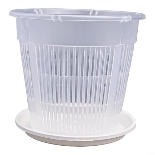 5 transparente Orchideen-Blumentöpfe mit Bodenlöchern und Untersetzern, die Stabilität bieten und einen richtigen Wasserablauf ermöglichen (16 cm) von Desiumite