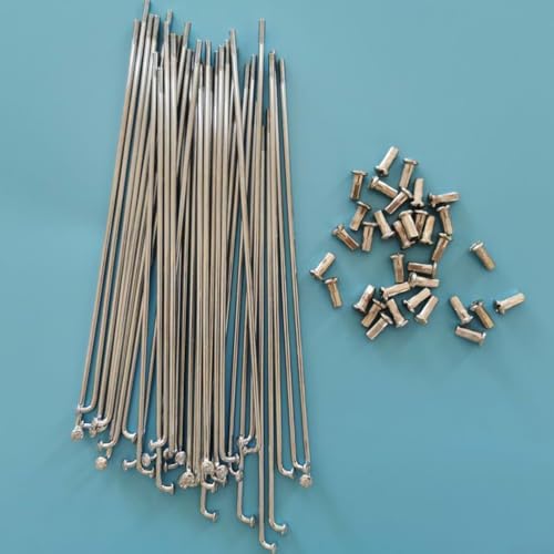 Ebike Reifenwartungs-Set mit 36 Stahlspeichen, Größe 2, 5 mm, zuverlässig und stabil (210 mm) von Desiumite