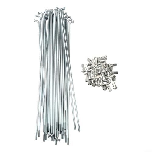 Ebike Reifenwartungs-Set mit 36 Stahlspeichen, Größe 2, 5 mm, zuverlässig und stabil (80 mm) von Desiumite