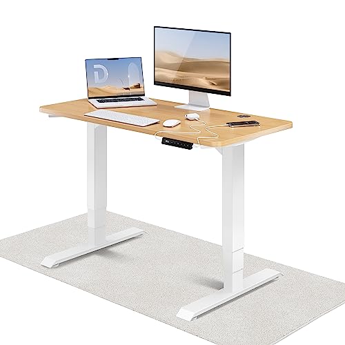 Desktronic Höhenverstellbarer Schreibtisch (120x60cm) - Schreibtisch Höhenverstellbar Elektrisch mit Flüsterleisem Dual-Motor & Touchscreen - Hohe Tragfähigkeit - Stehtisch HomePro von Desktronic