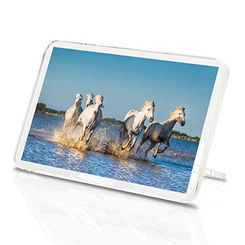 Camargue Horses France Five White Horses Classic Kühlschrankmagnet Küche #3161 von Destination Vinyl Coasters