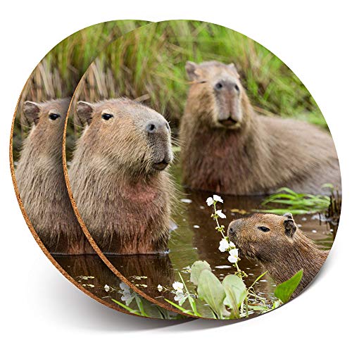 Destination Vinyl Ltd. 21314 Untersetzer, rund, mit Capybara Swimming Family Drink Glänzende Untersetzer / Tischschutz für jeden Tischtyp von Destination Vinyl Ltd