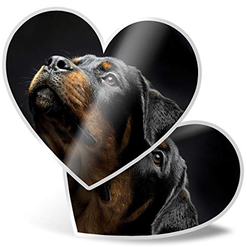 2 x Herz Aufkleber 7,5 cm - Schöne Rottweiler-Hund Tiere Haustiere 8616 von Destination Vinyl Ltd